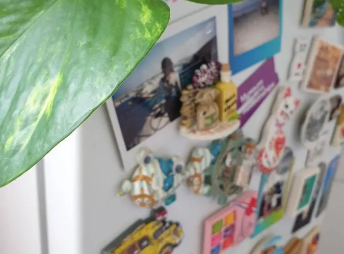 Apartment Elbe Garden Paradise *