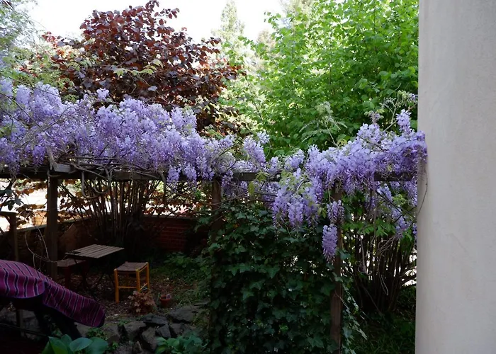 Apartment Elbe Garden Paradise Dresden