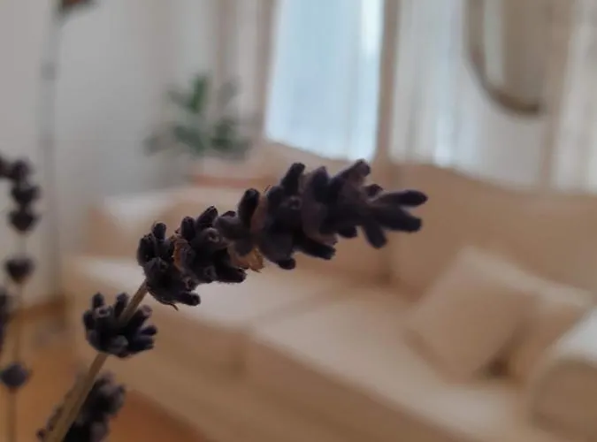 Elbe Garden Paradise Dresden