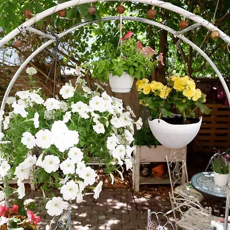 Elbe Garden Paradise *