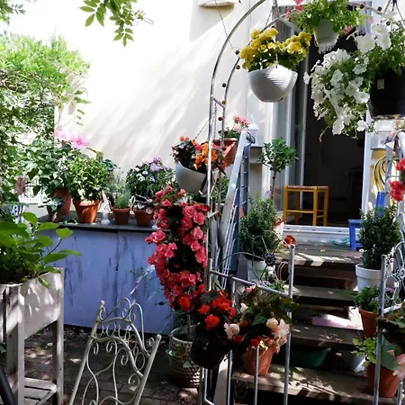 Elbe Garden Paradise Apartmán Drážďany