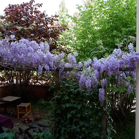 Apartmán Elbe Garden Paradise Drážďany