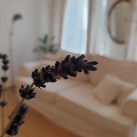 Elbe Garden Paradise Drážďany